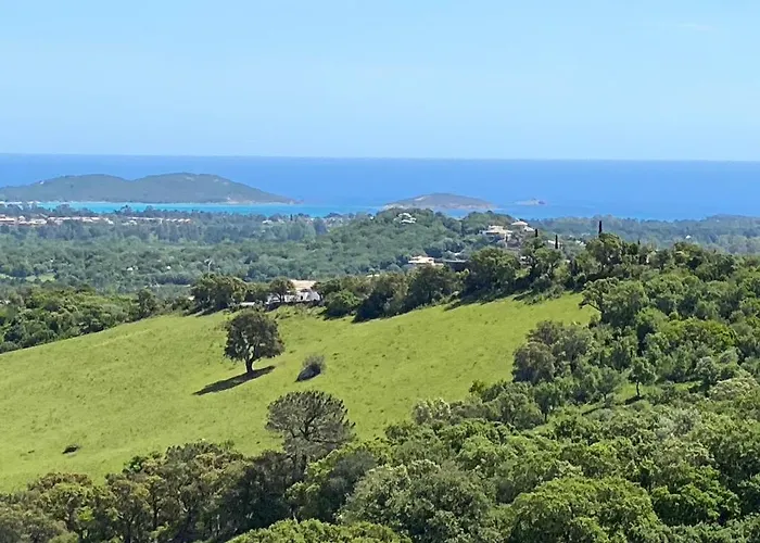 Vue En Avec Piscine * Porto-Vecchio (Corsica)