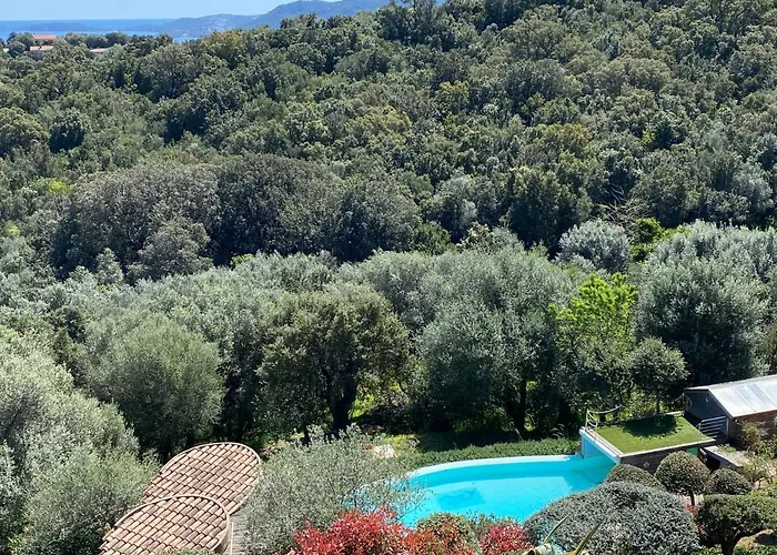 Vue En Avec Piscine Holiday home *